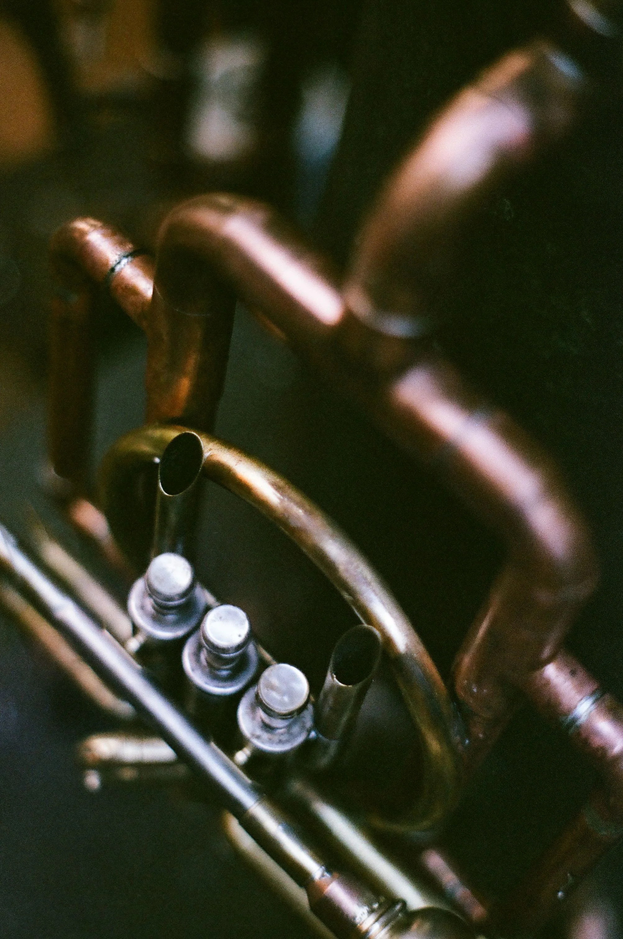 0008_17A.jpg