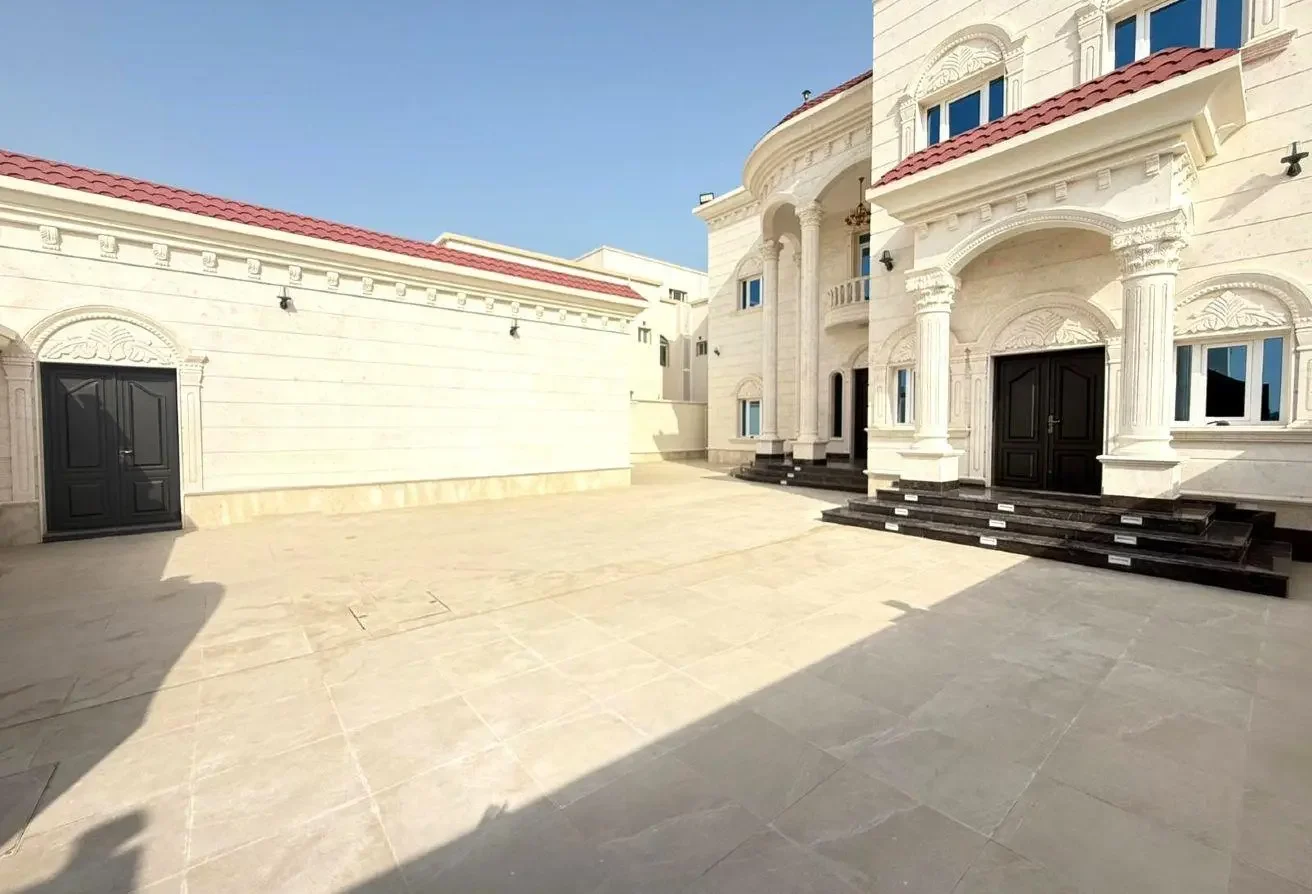 1312x894 (1).webp