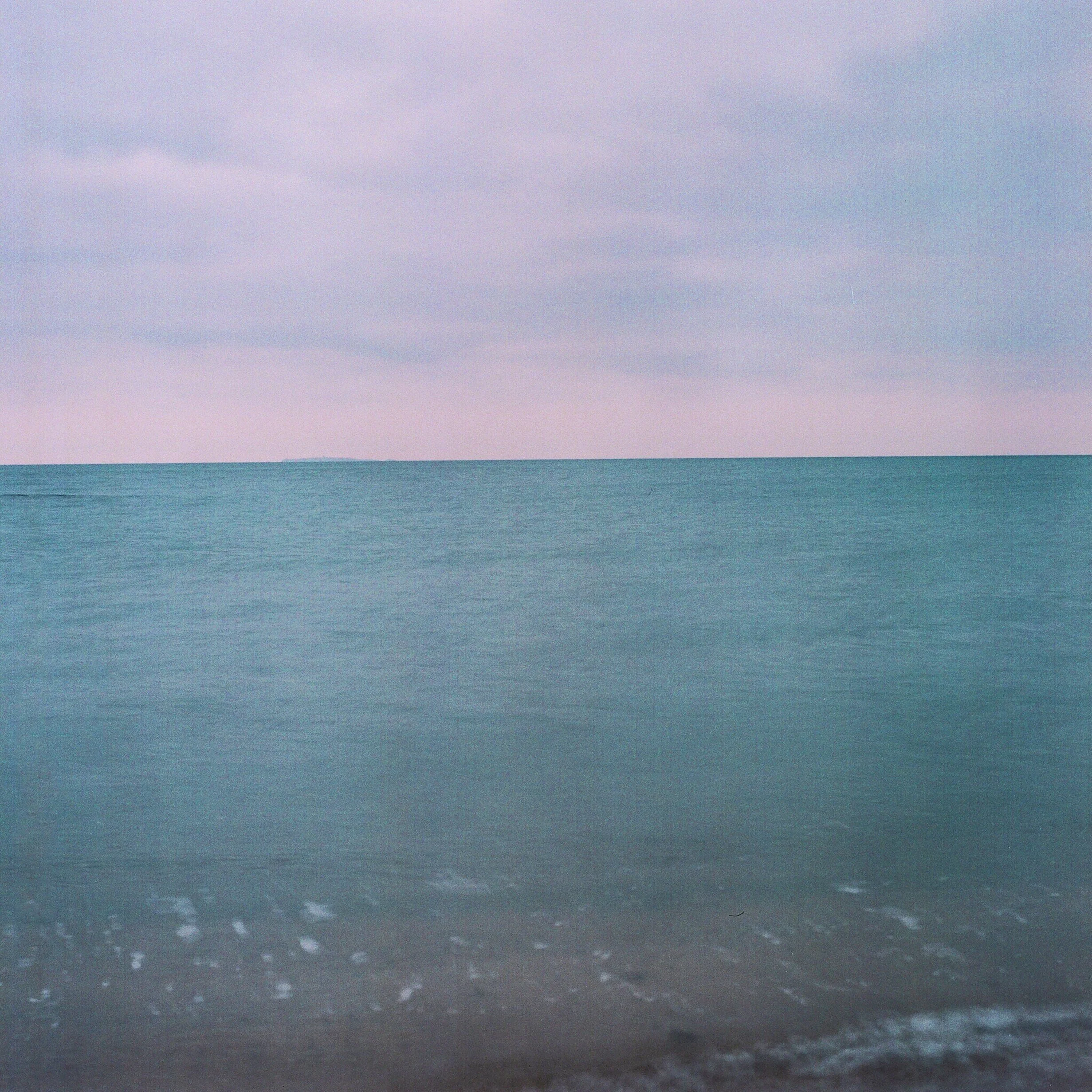 The Bird Flies Towards You