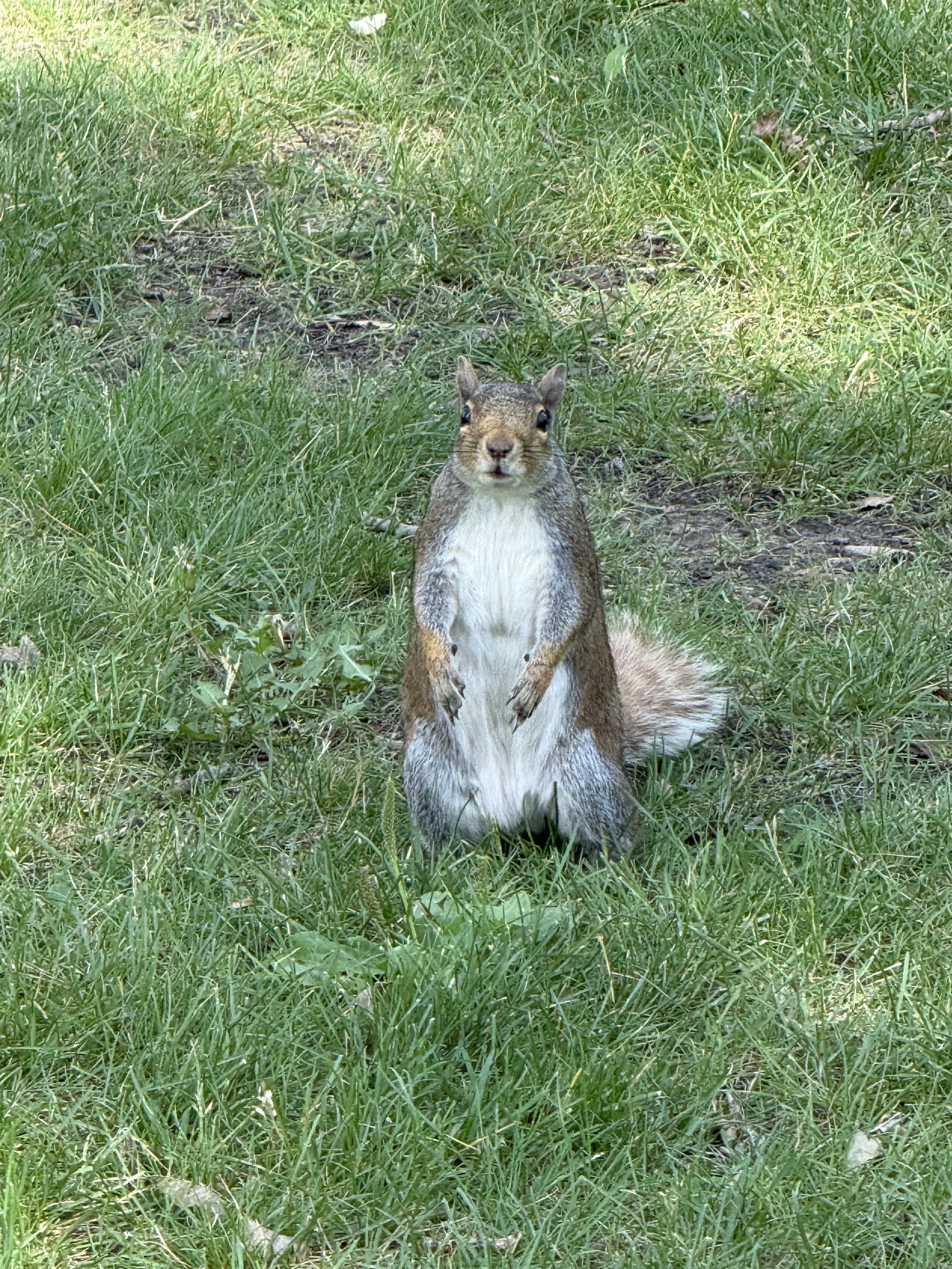 IMG_0998.JPG