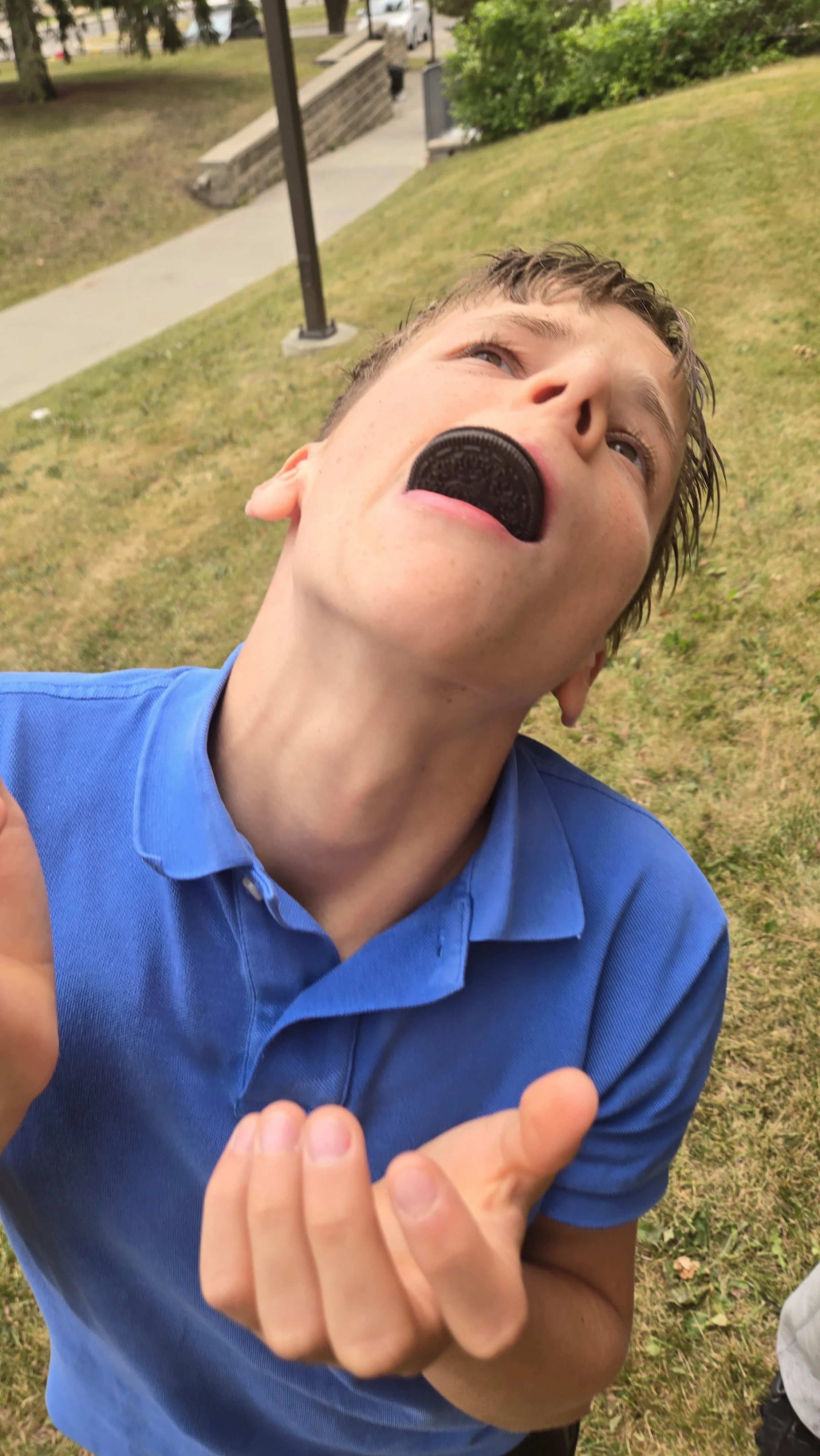 20260810_143145.jpg