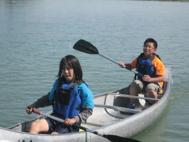 Albertosaurus - July 18, 2013