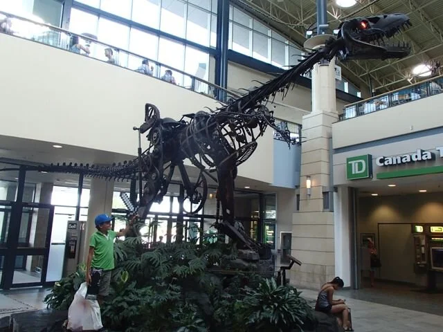 Wild Roses - August 14 - 2013