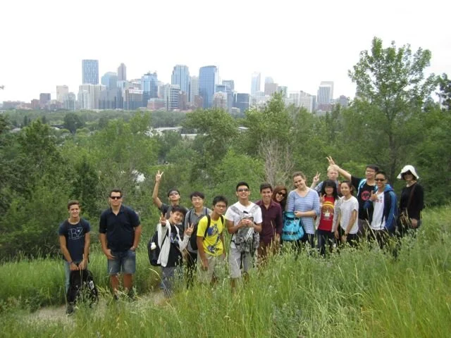 Piping Woodpeckers - July 19, 2014 - Arrivals!