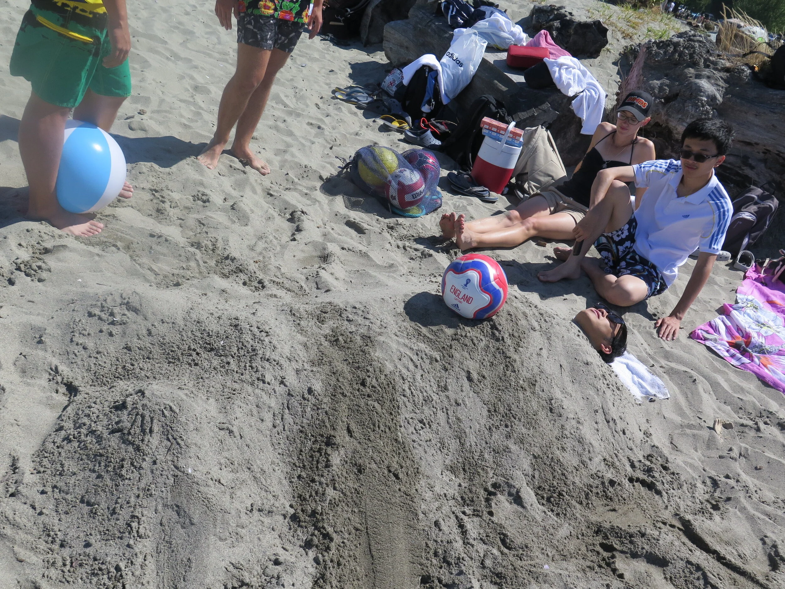 Whistling Sea Otters - Arrivals on July 26, 2014