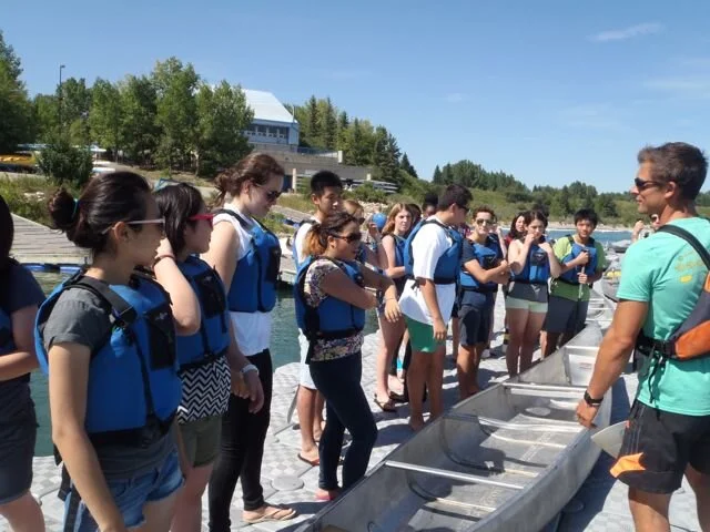 Piping Woodpeckers - July 28, 2014