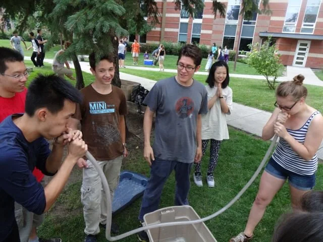 Bellowing Buffalo - August 12, 2014