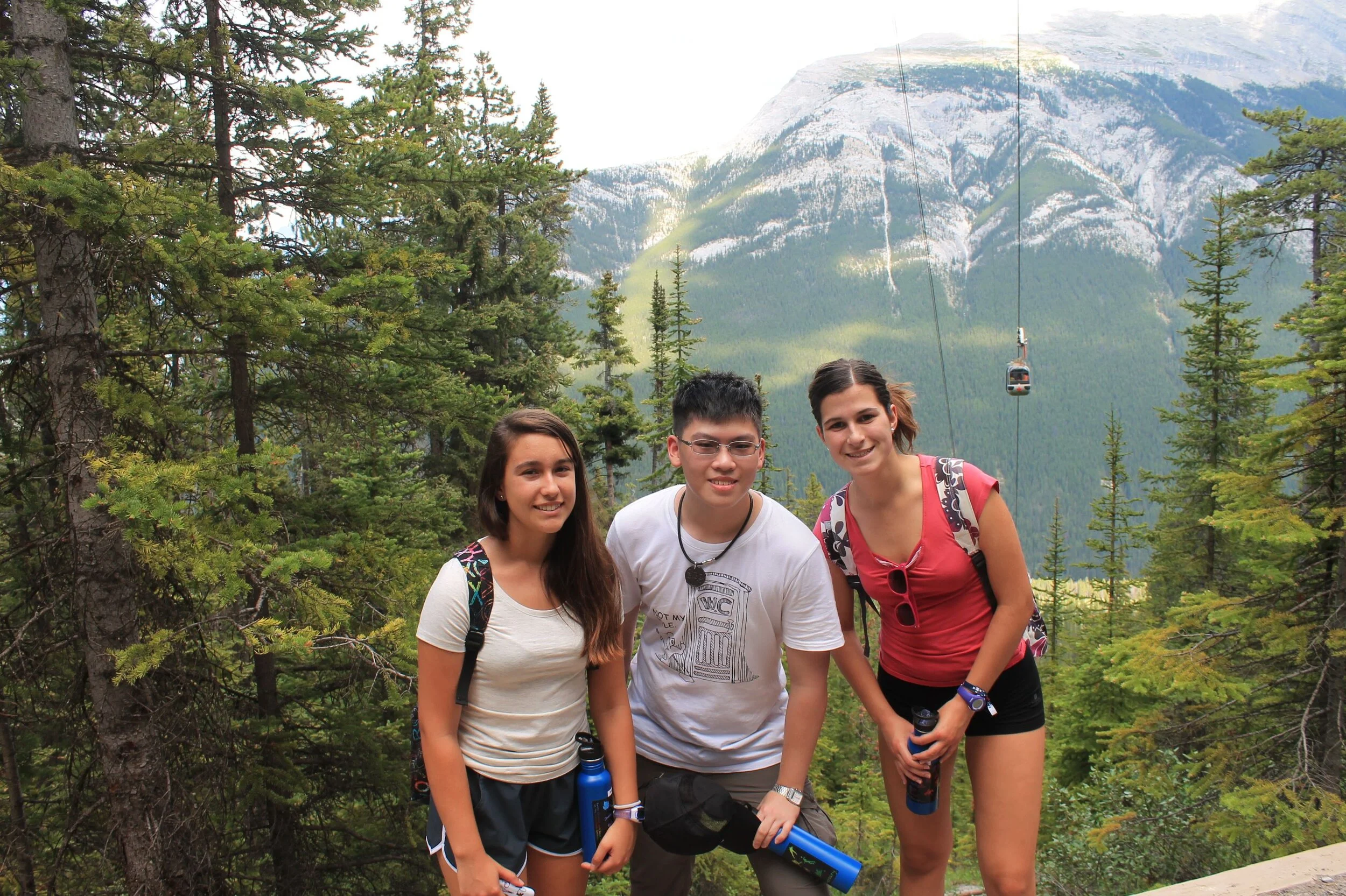 Howling Wolves - 5 July 2015 - Stampeding Wolves!