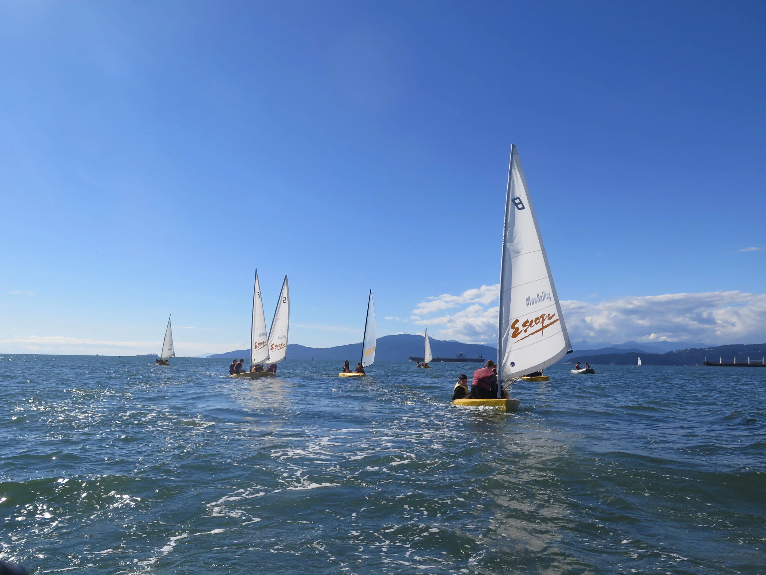 Laughing Sea Lions - July 27 - Sailing Day
