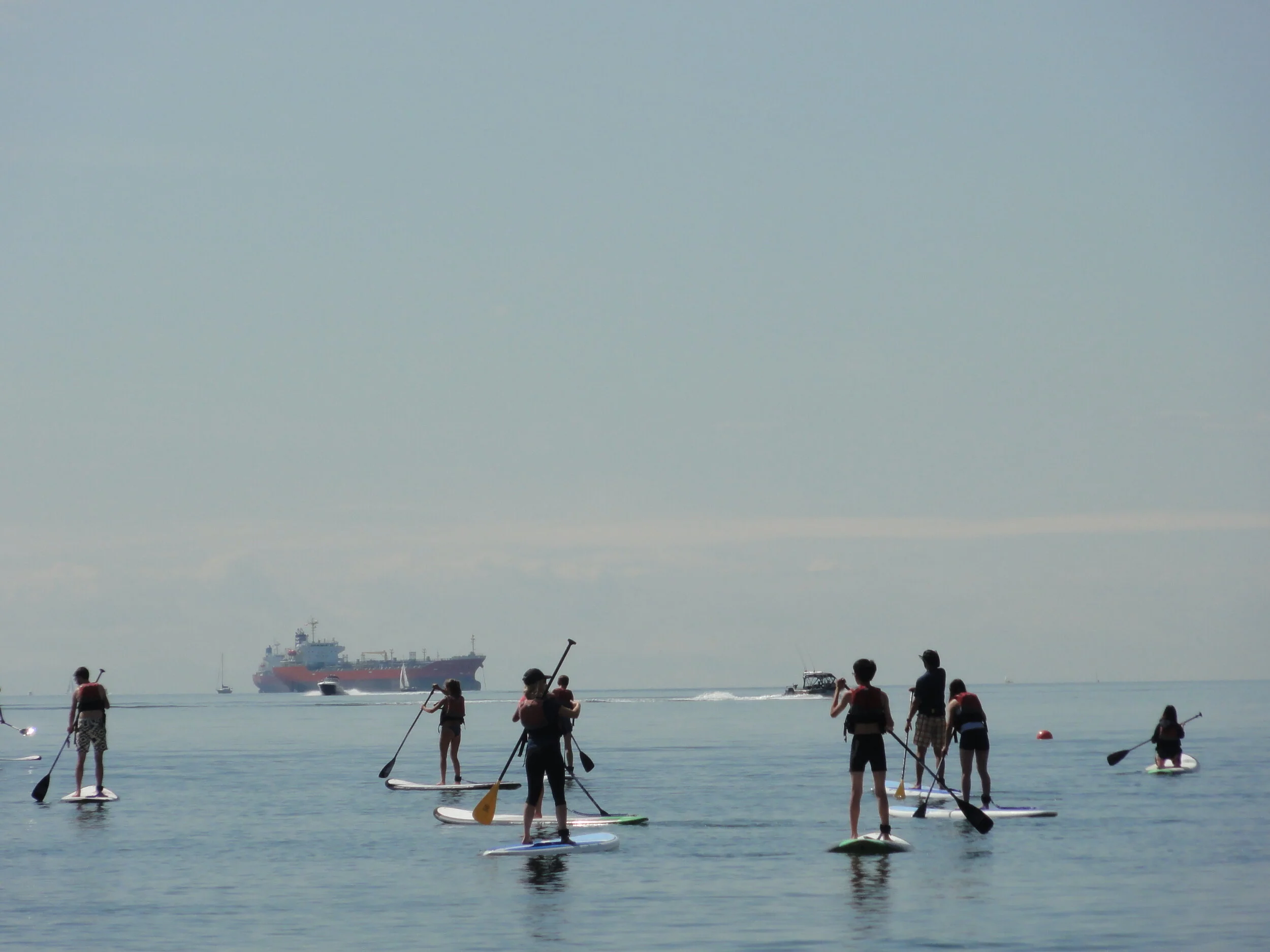 Laughing Sea Lions - August 6, 2015 - Stand-up Paddleboarding & Farewells