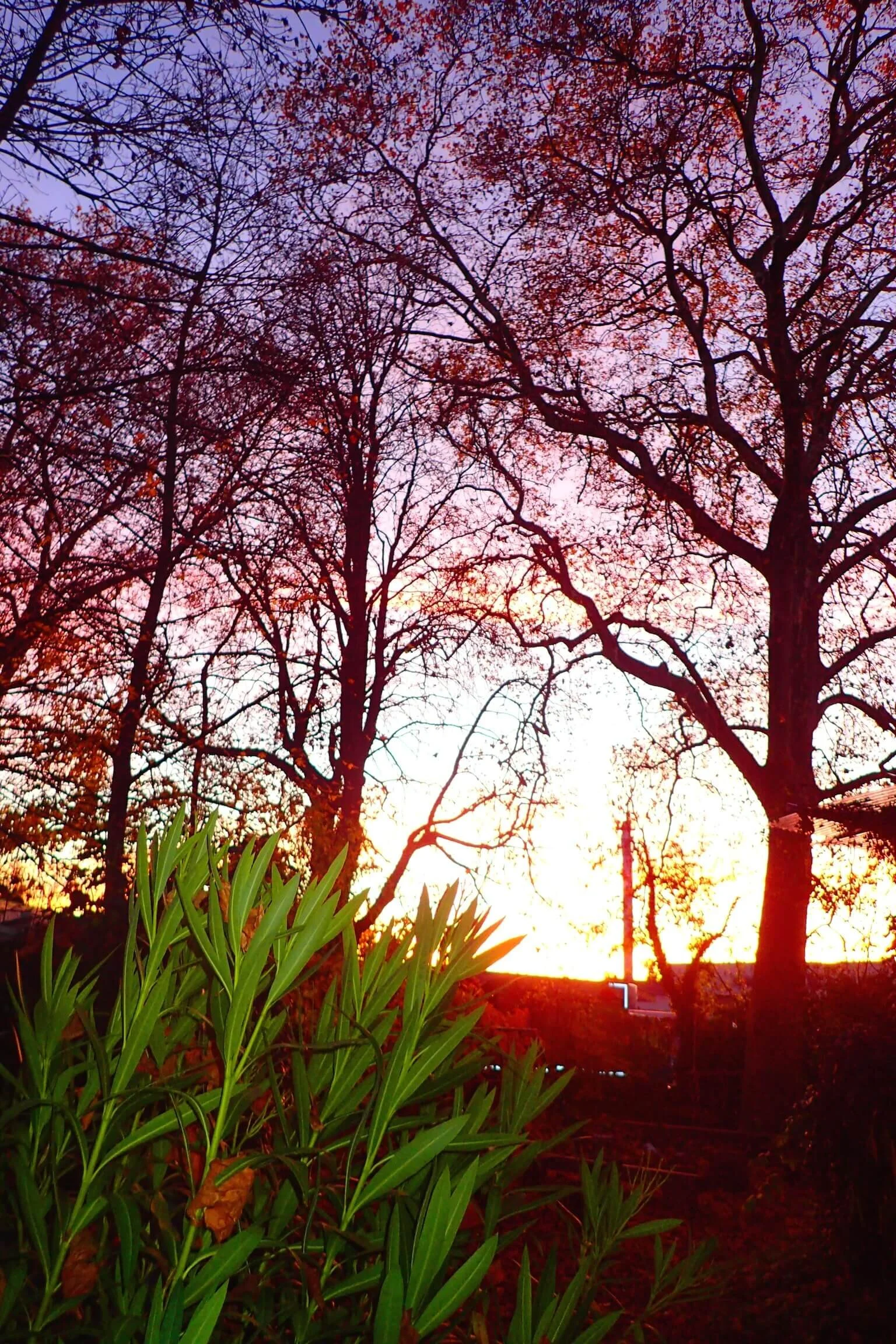 Memories and Happy New Year!