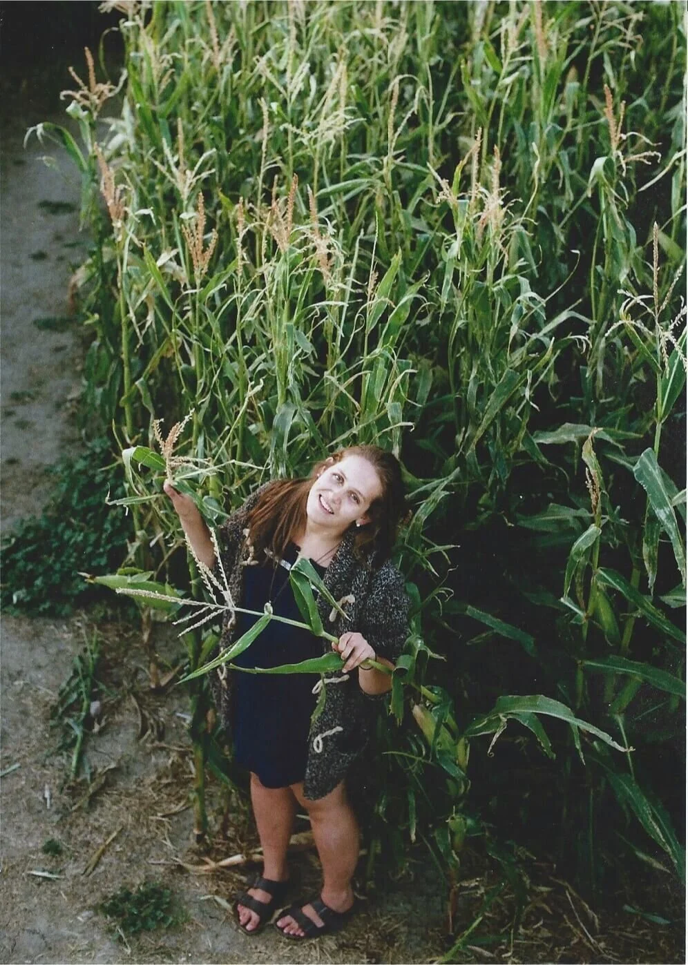 A returning Calgarian Teacher!