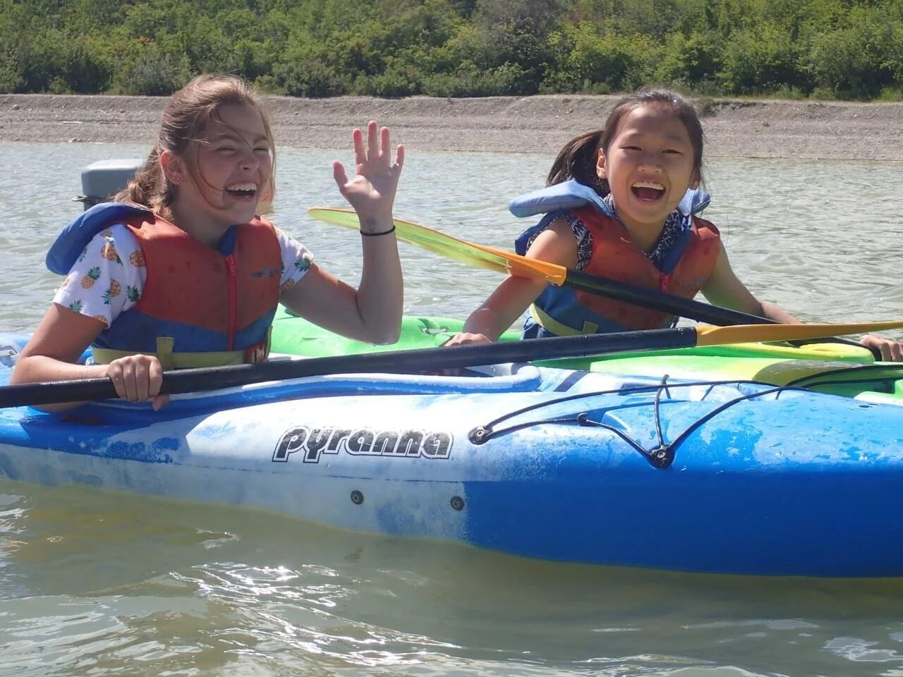 Hooting Snowy Owls - Baseball, Kayaking, Rollerskating