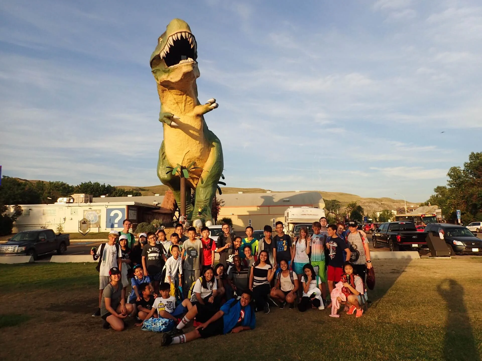Cackling Canada Geese - July 8th, 2017 - Drumheller
