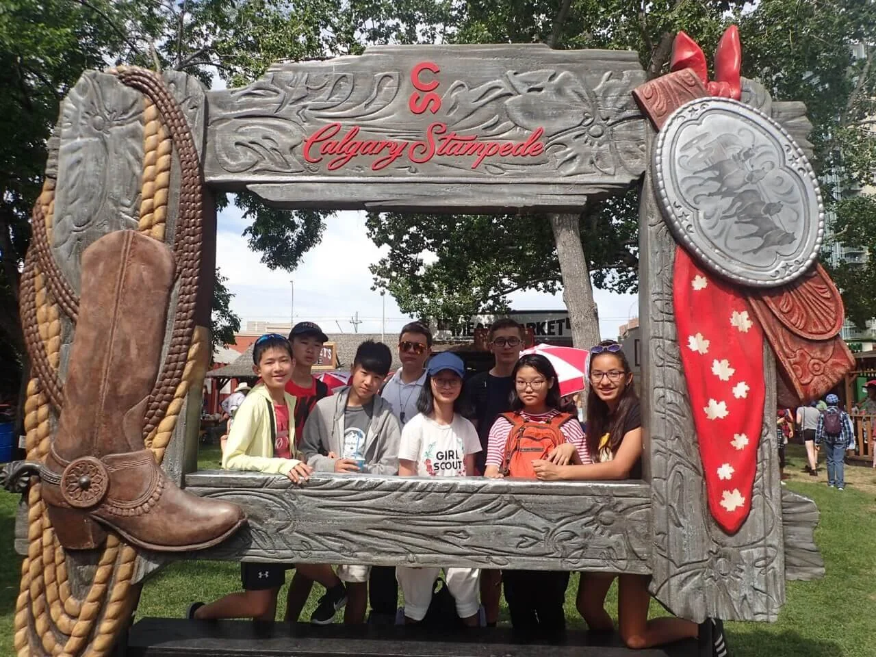 Cackling Canada Geese - July 9, 2017 - Stampede!