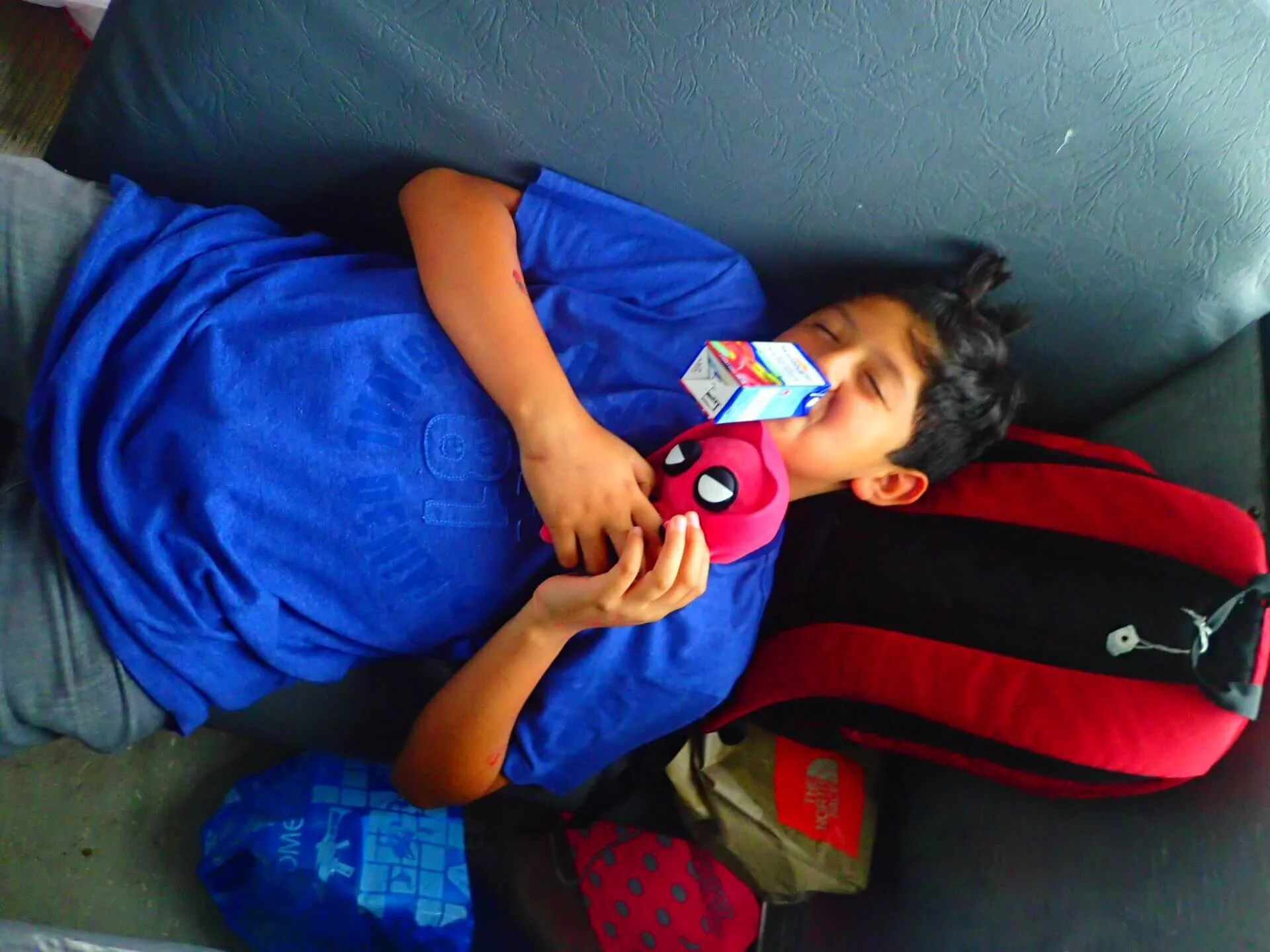 Cackling Canada Geese - July 11, 2017 - West Edmonton Mall