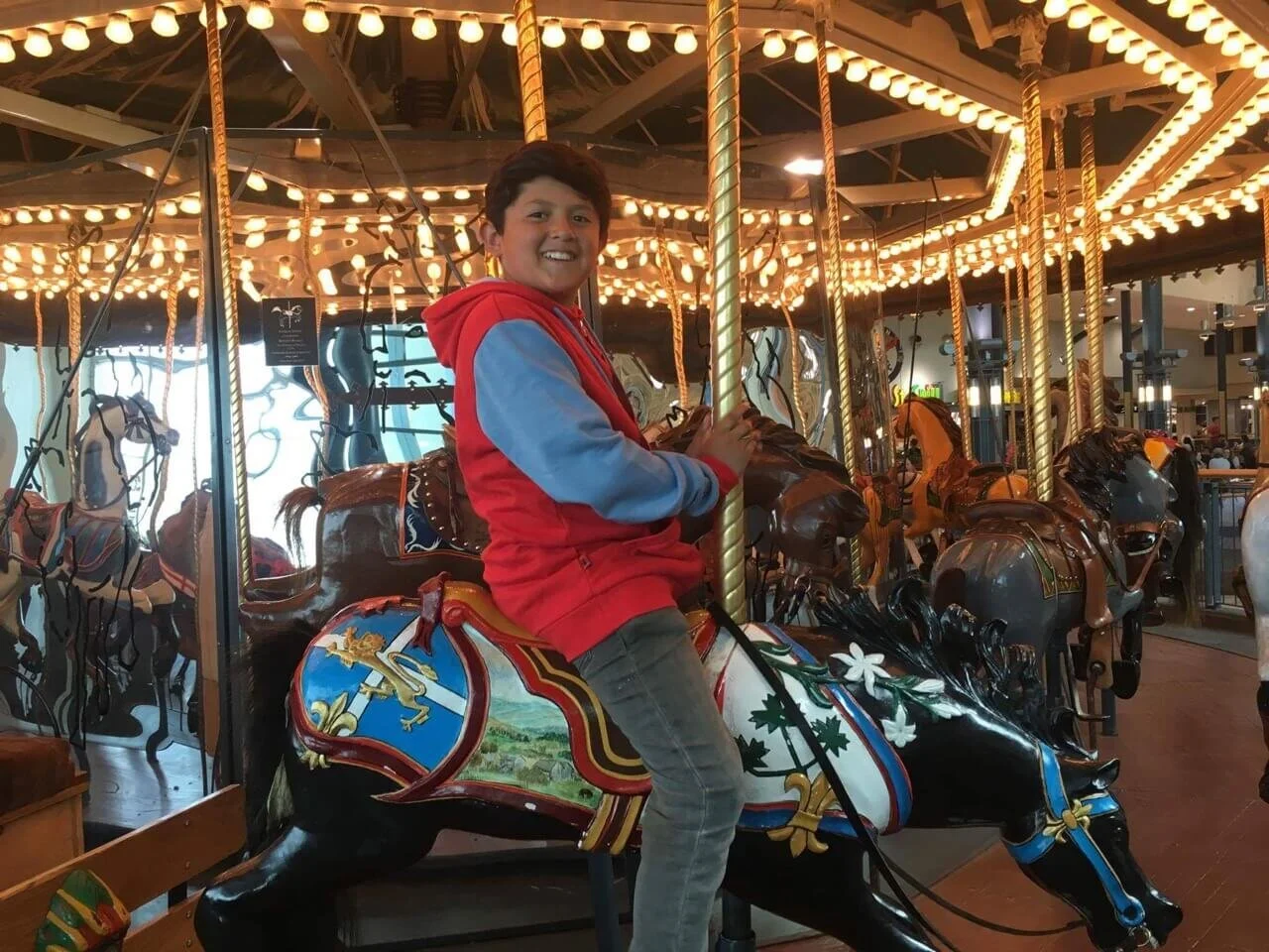 Cackling Canada Geese - July 19, 2017 - Shopping!