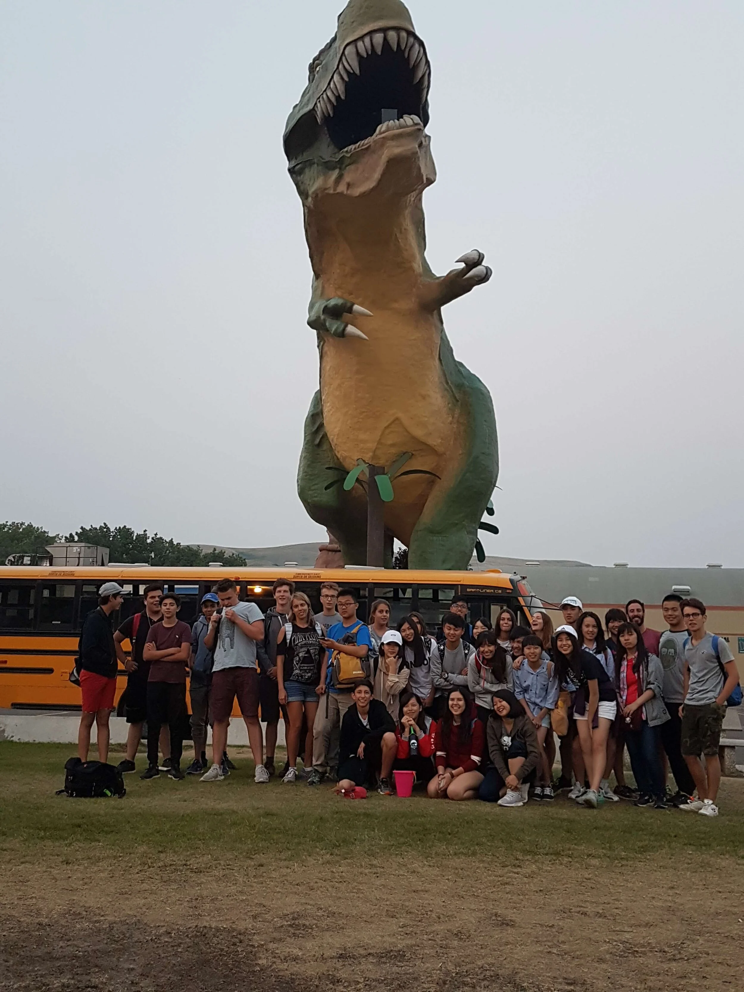 Singing Water Loons - 19 July 2017 - Loons are Descendants of Dinosaurs