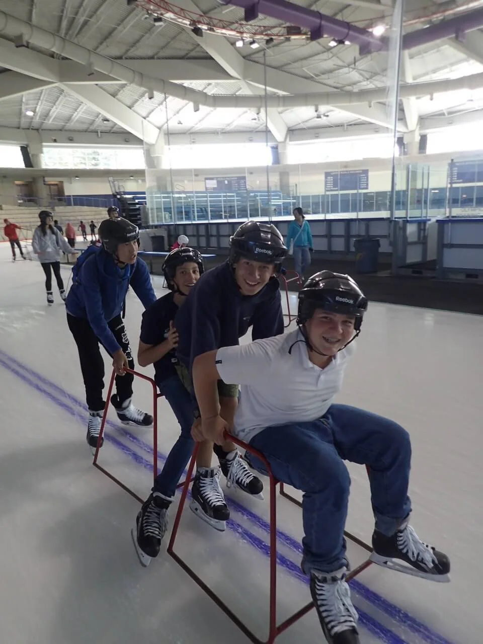 Cackling Canada Geese - July 22, 2017 - Skating and Loose Moose