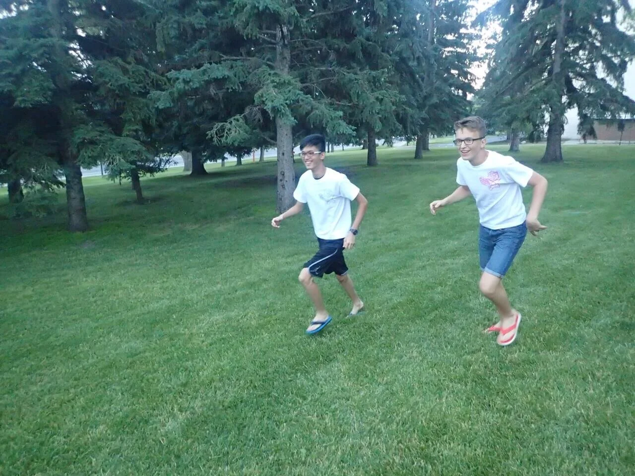 Singing Water Loons - 26 July 2017 - The O-LOON-pics