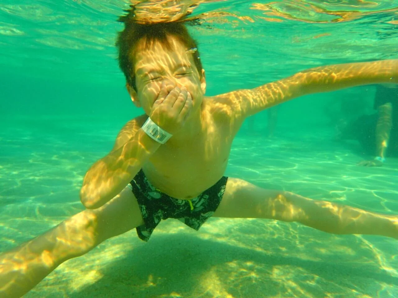 Splashing Snapping Turtles - July 30th, 2017 - Splashing and Shopping