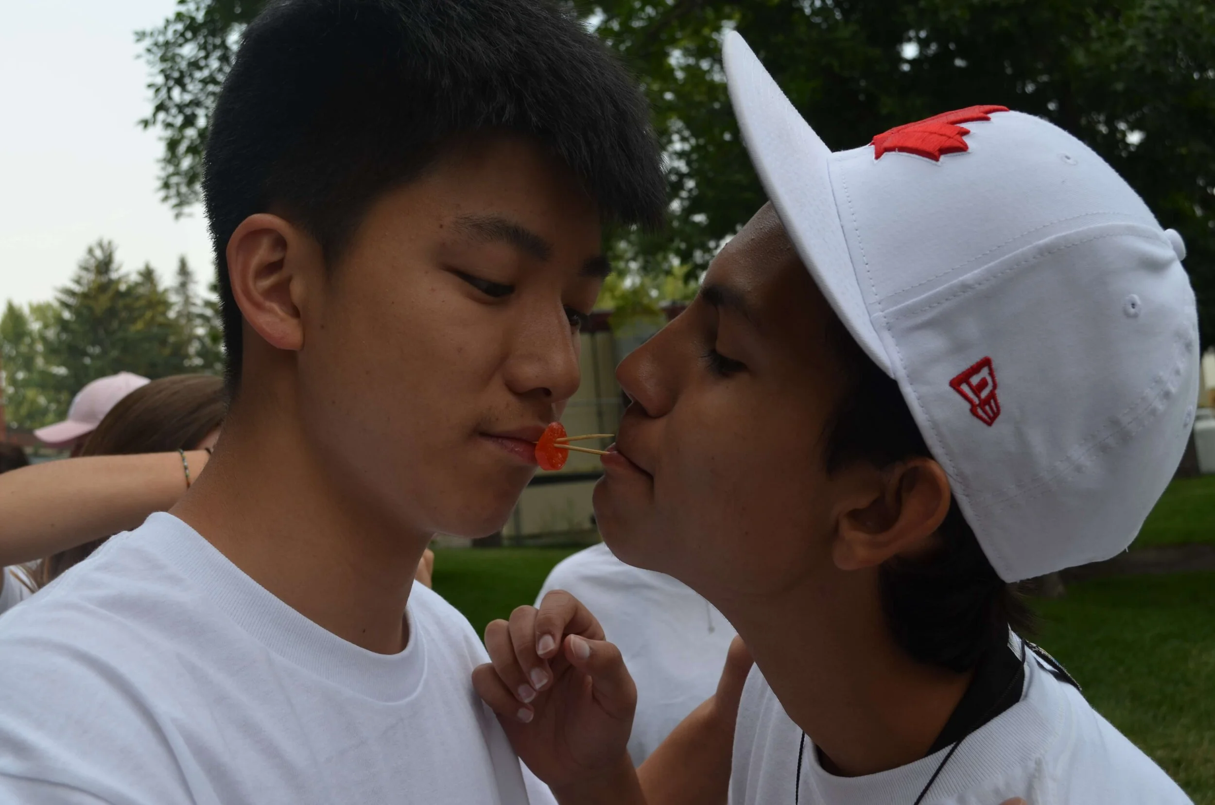 Galloping Western Mustangs - July 31, 2017 - Mustangs Are Camp Ready!