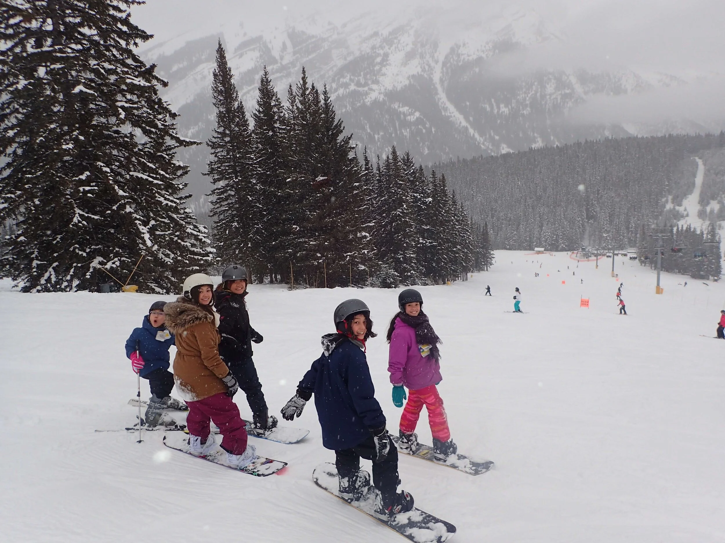 Growling Polar Bears - February 7-8