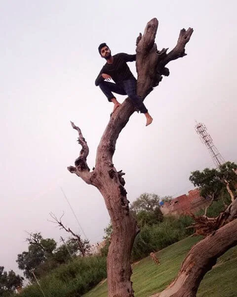 Another teacher for the summer of 2018