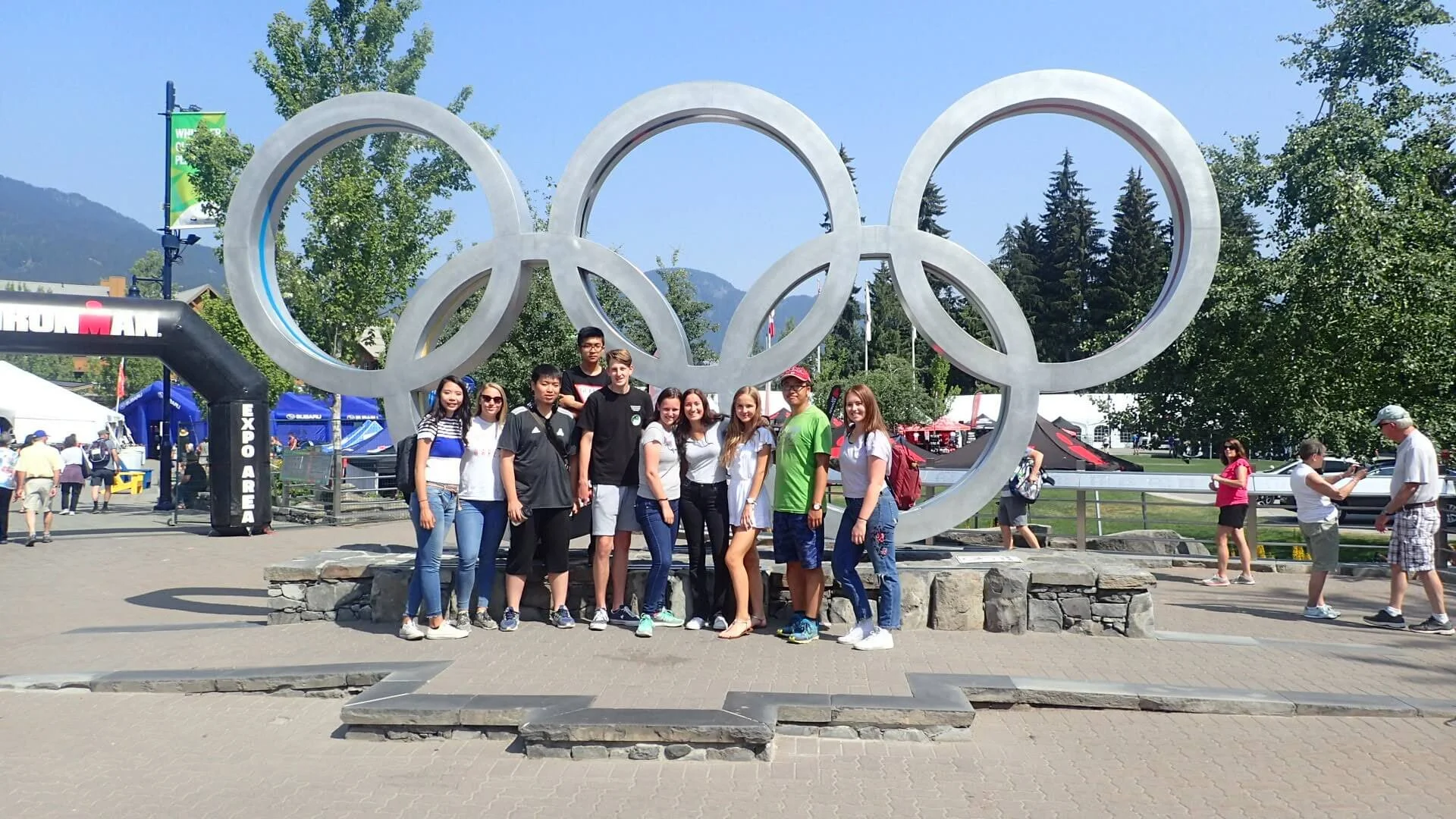 Splashing Harbour Seals - Road trip