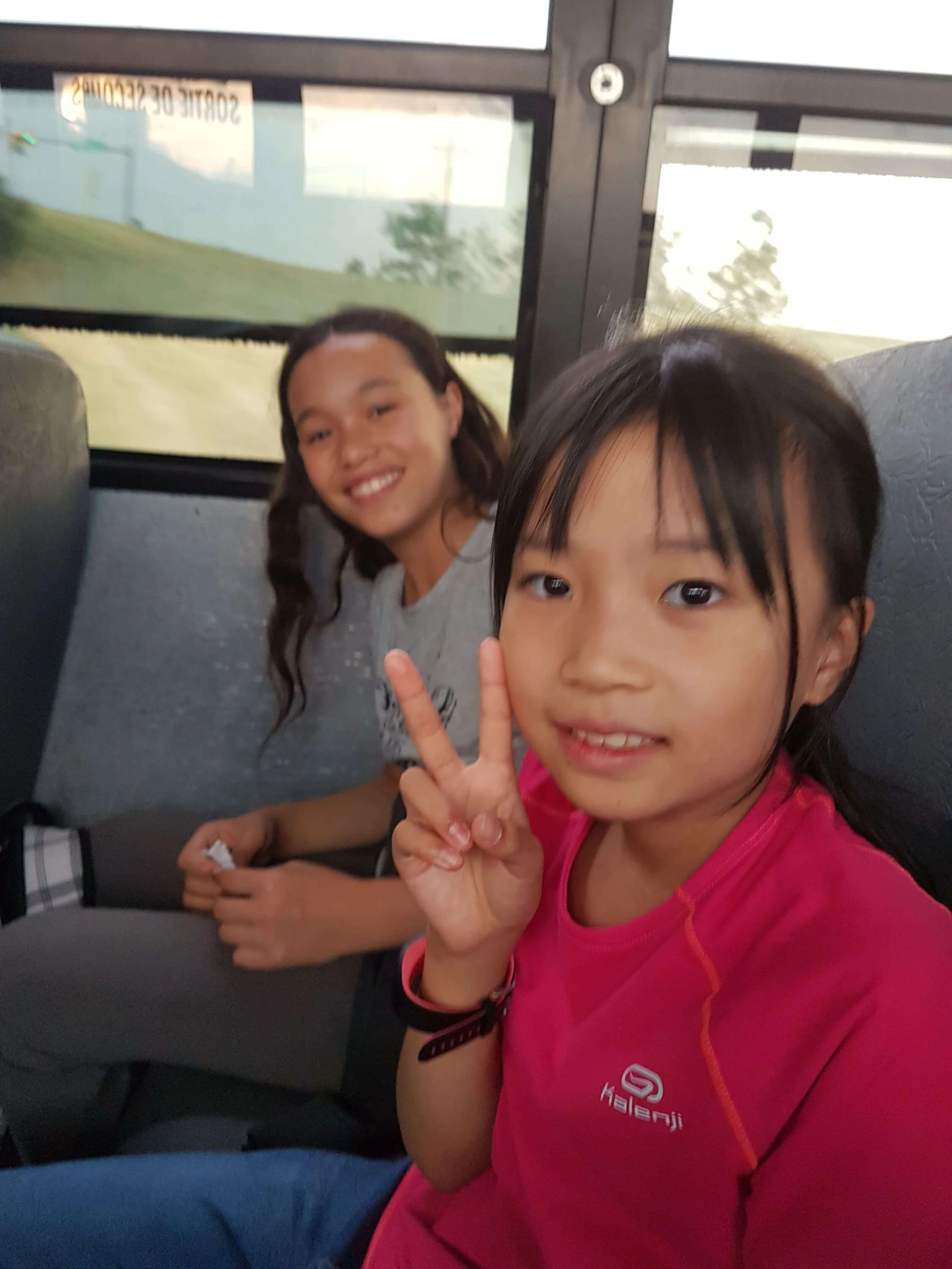 Cunning Arctic Foxes - August 1st - Shopping and Movies