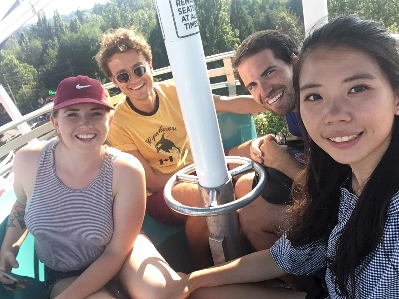 Splashing harbour seals - July 31, PNE/ Playland