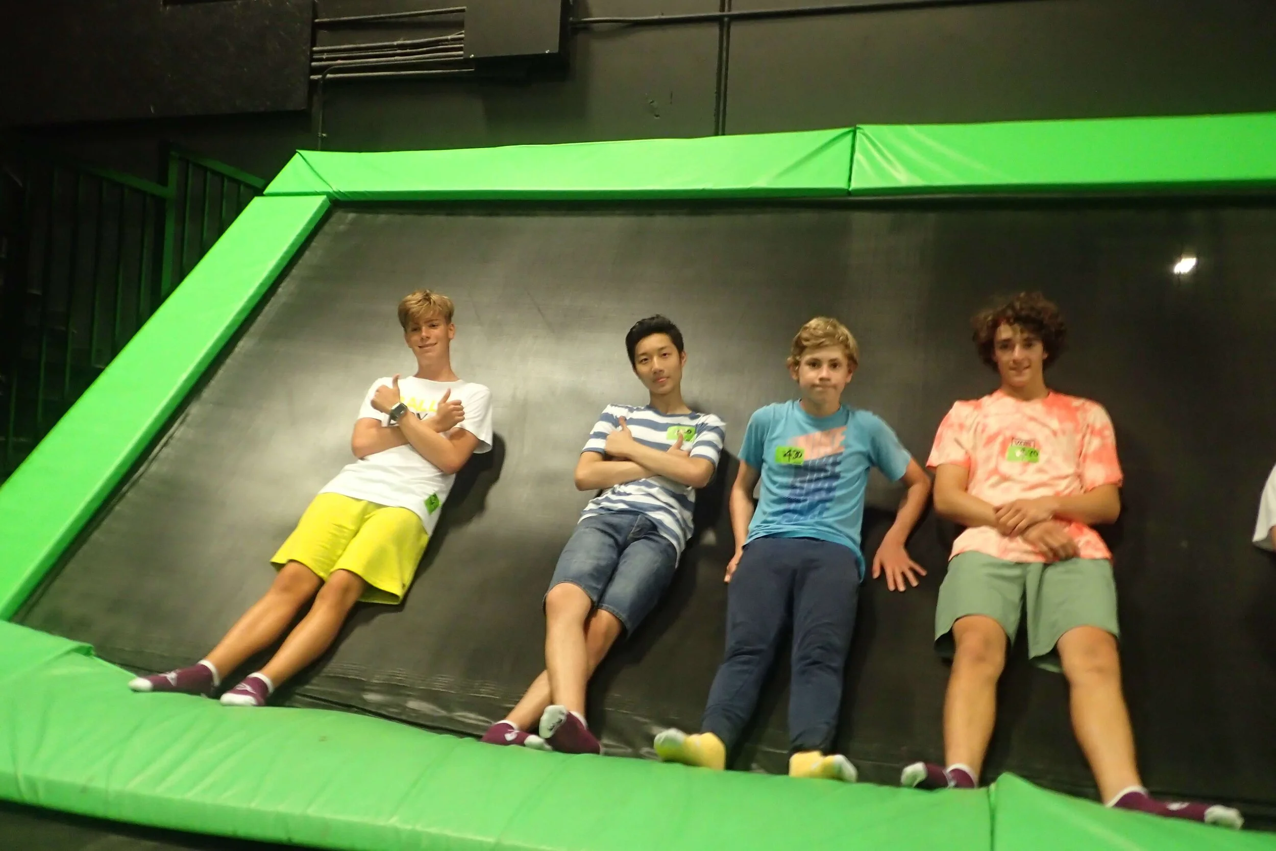 Splashing harbour seals - Aug 1 - Extreme air park, water park