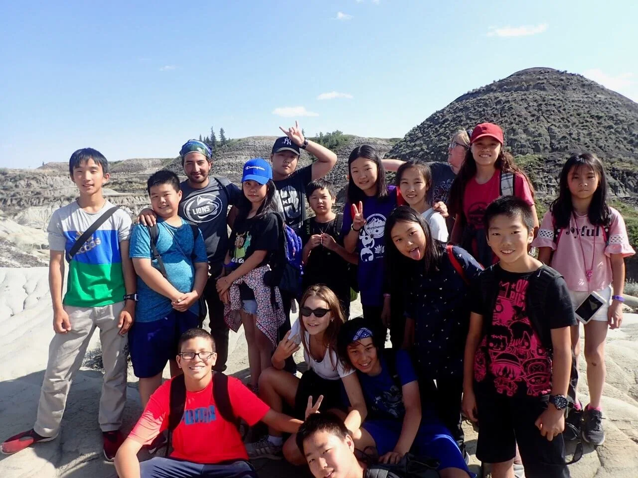 Cunning Arctic Foxes - August 13th, 2018 - Drumheller Trip