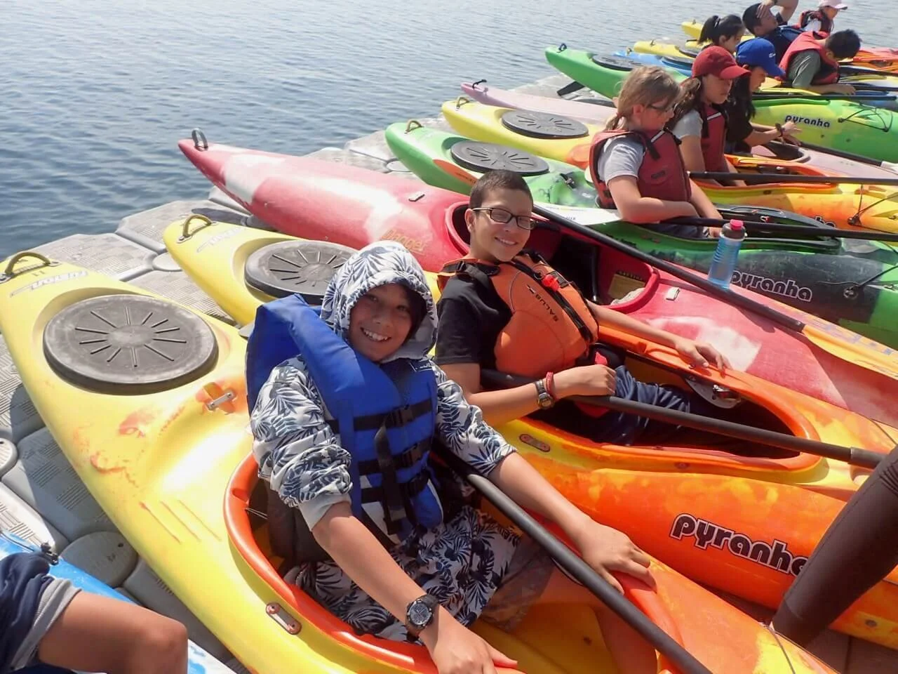 Cunning Arctic Foxes - August 14th, 2018 - Last Day