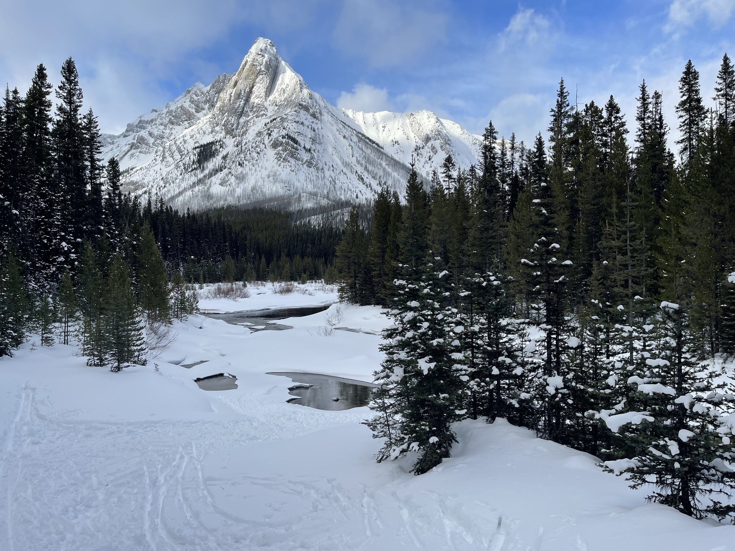 Winter Course Preparation