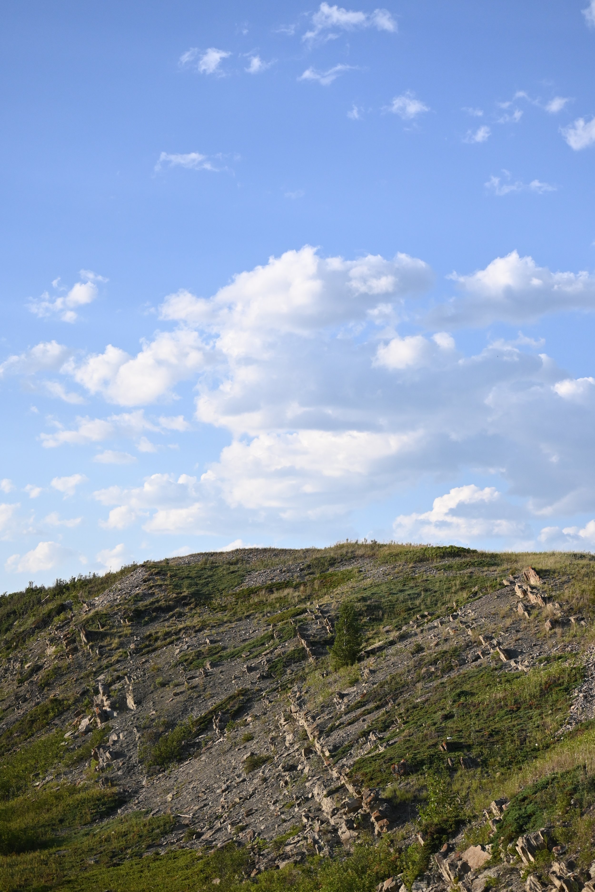 DSC_5323.JPG