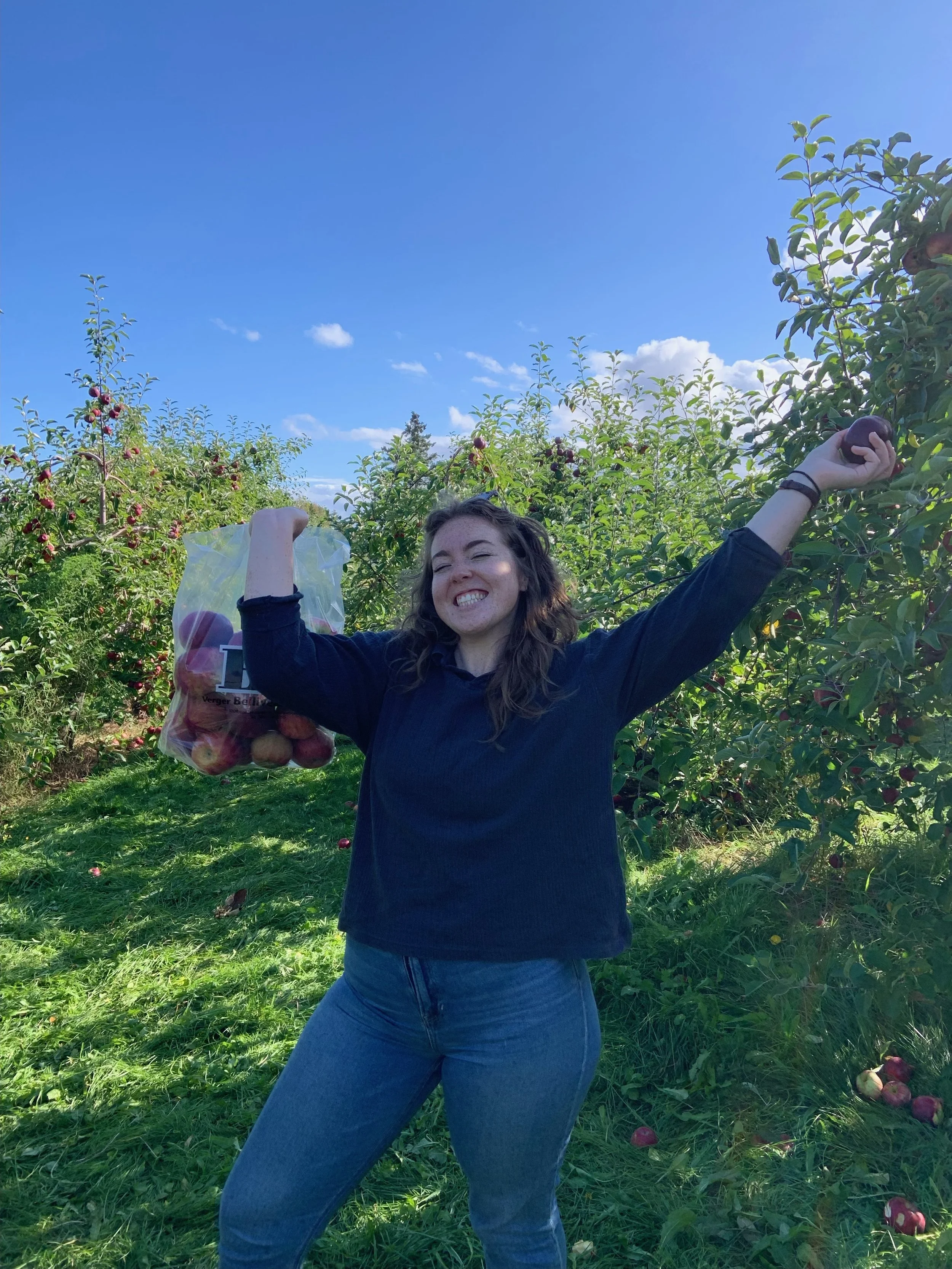 Sadie is back for a 4th summer!!!!