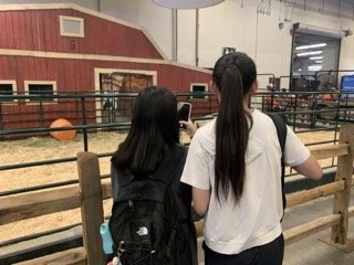 IMG_4010 Small.jpeg