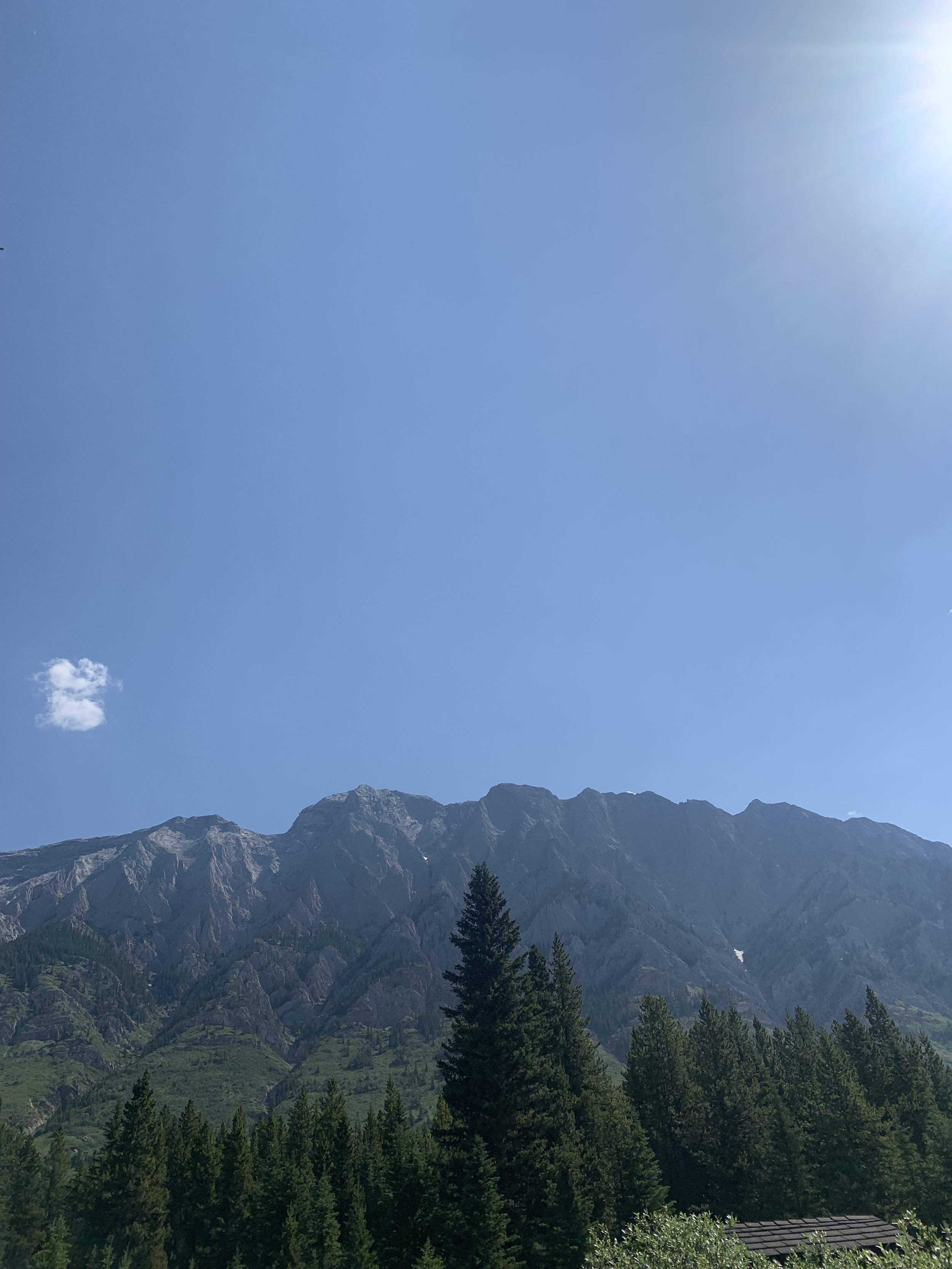 IMG_9671.jpeg