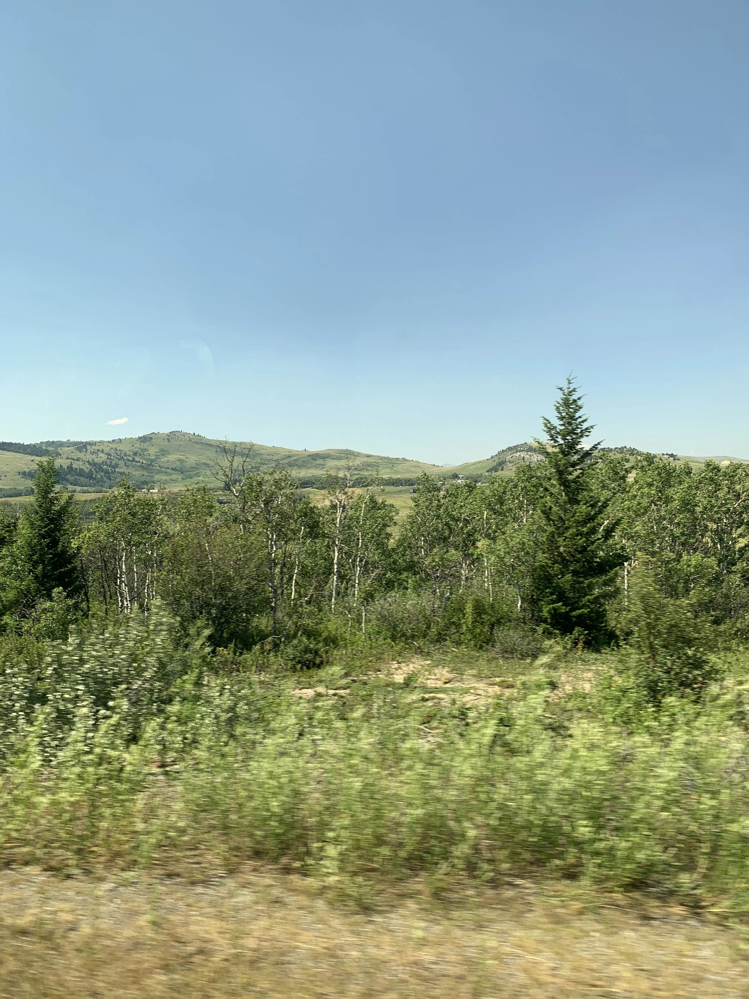 IMG_3465.JPG