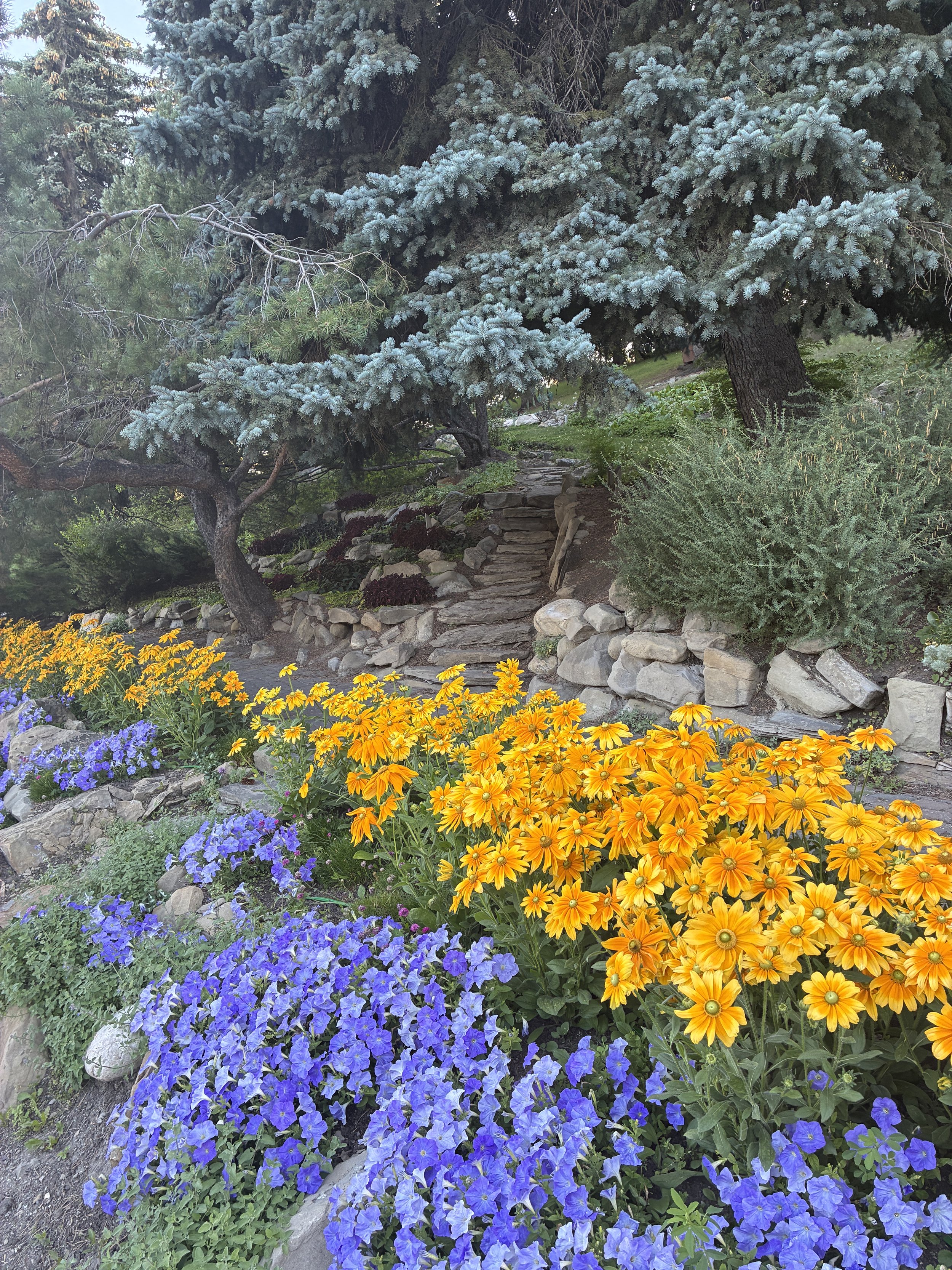IMG_1638.JPG
