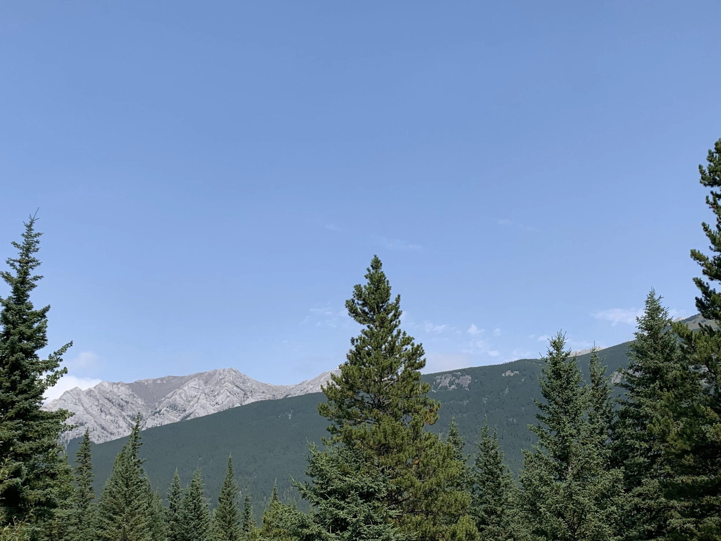 IMG_5881.JPG