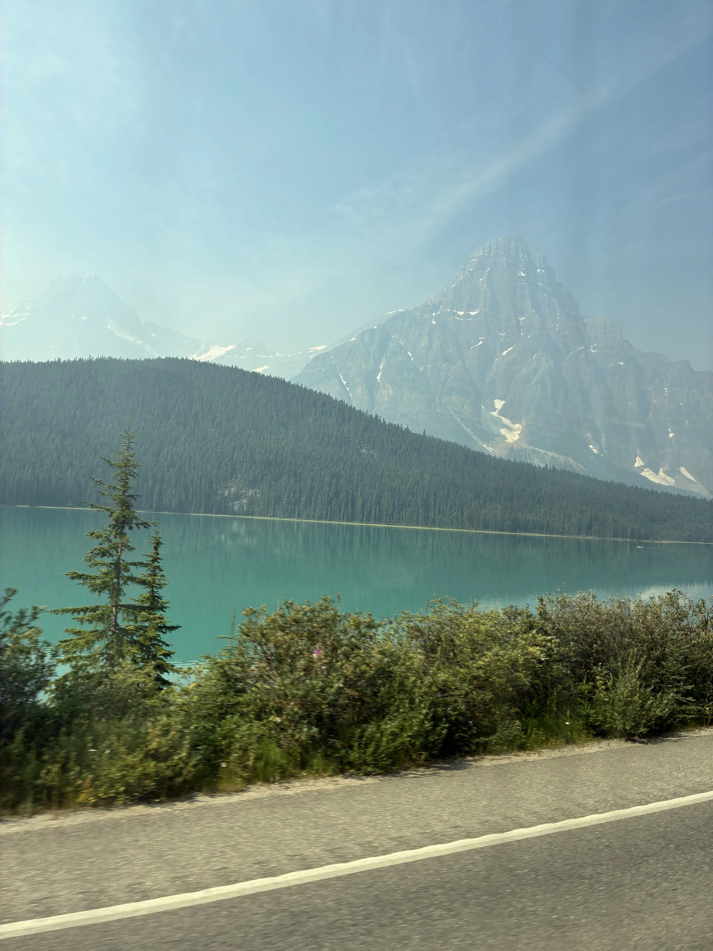 IMG_1781.JPG