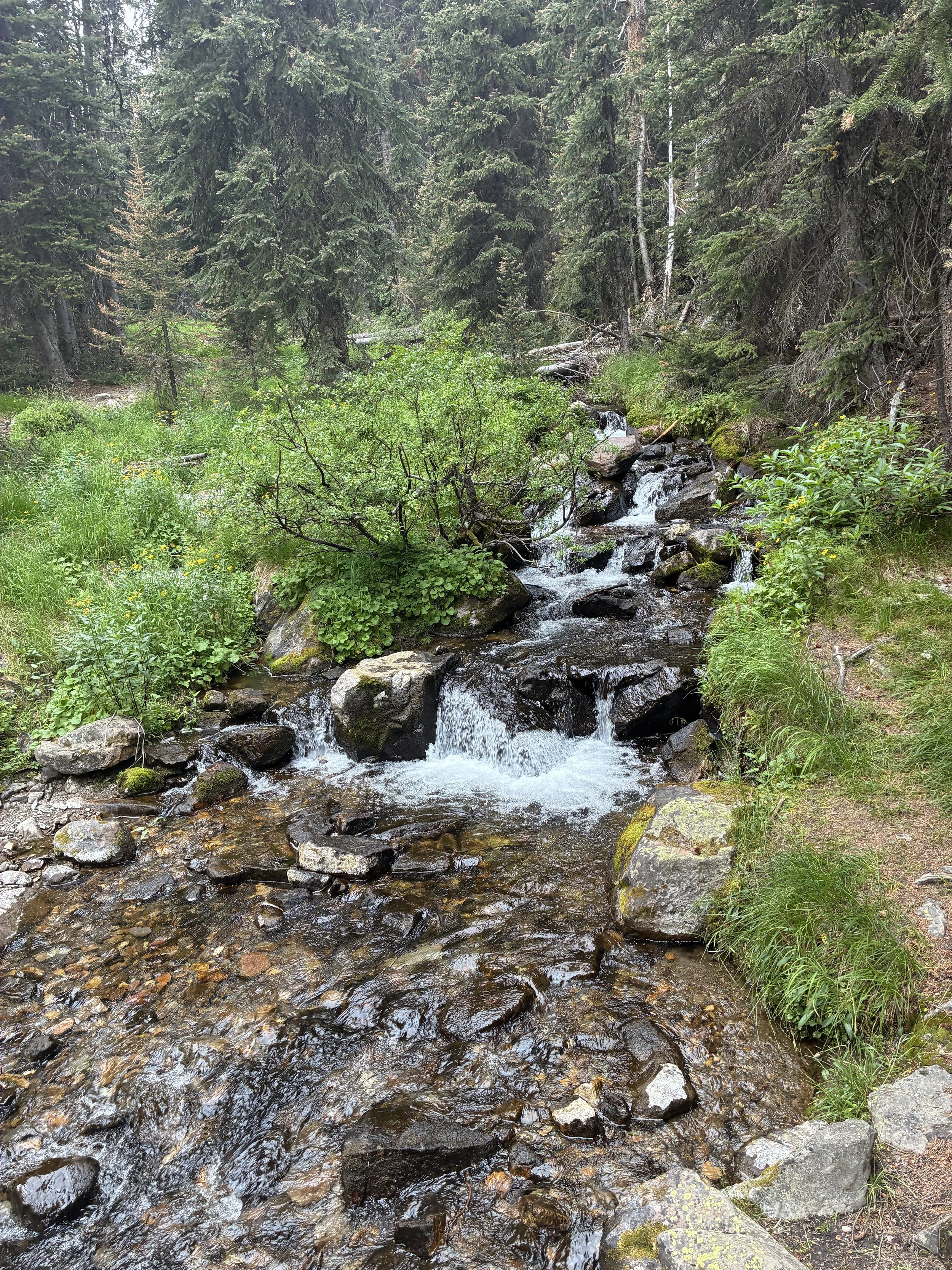IMG_1897.JPG