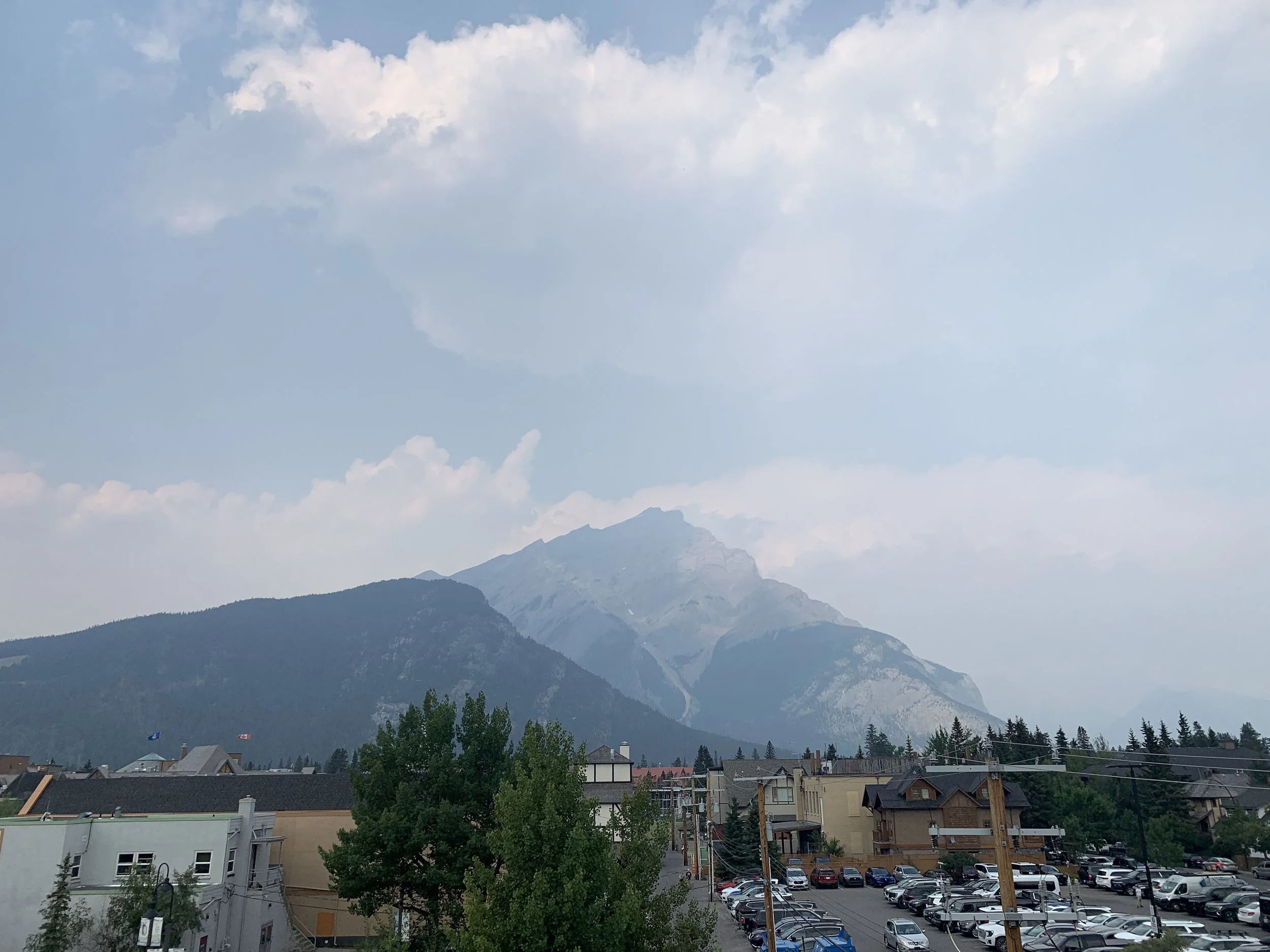 IMG_6203(1).JPG