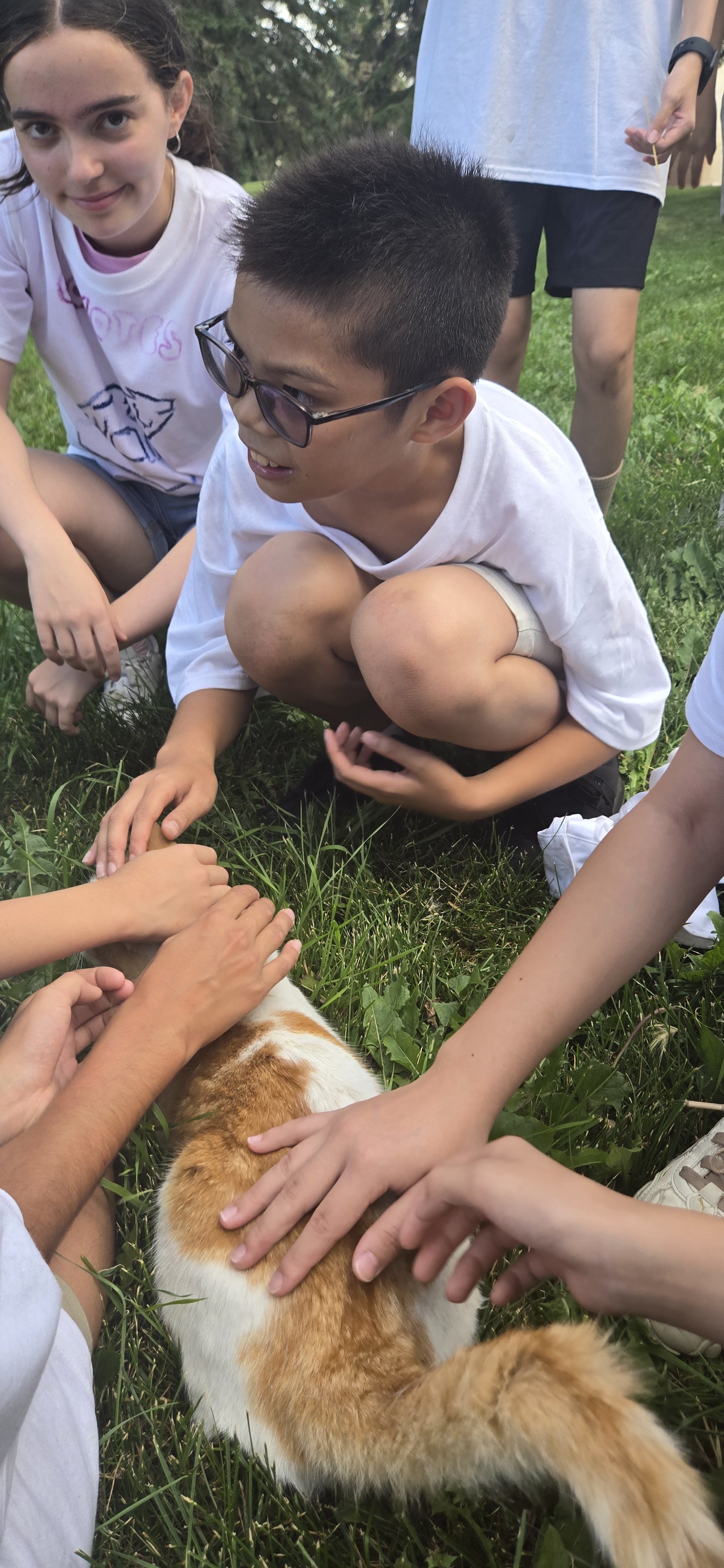20260717_193819.jpg