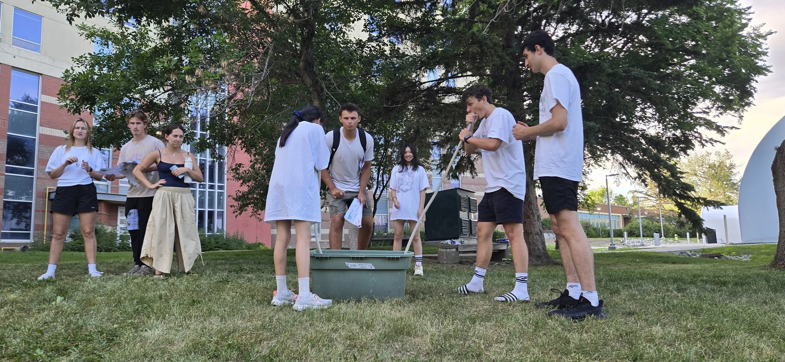 20260717_195347.jpg