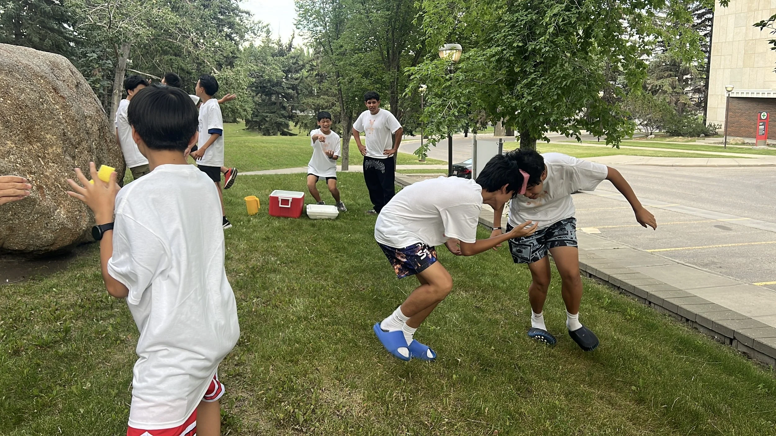 IMG_3557.jpg