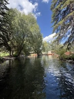 IMG_9080 Small.jpeg