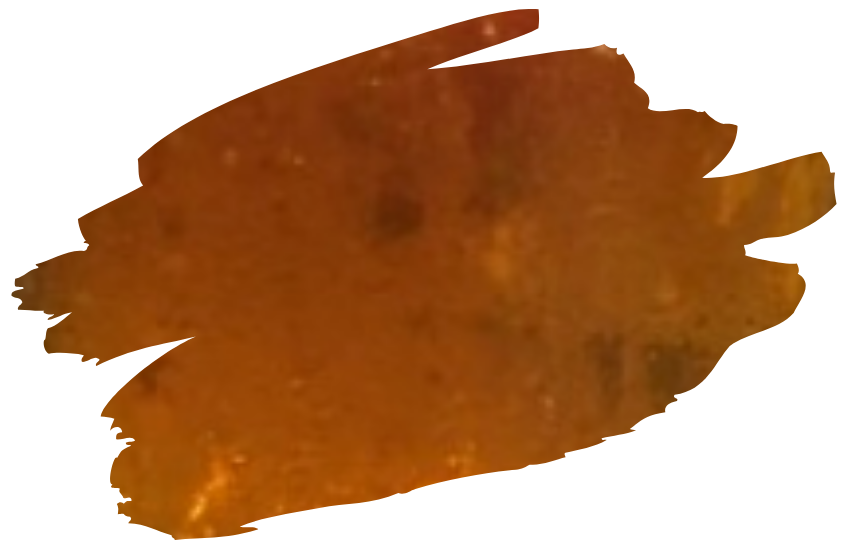 Honey Orange Ale Swatch.png